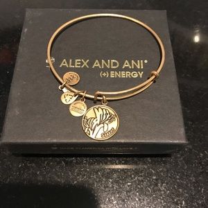 Alex and ani sister charm bangle